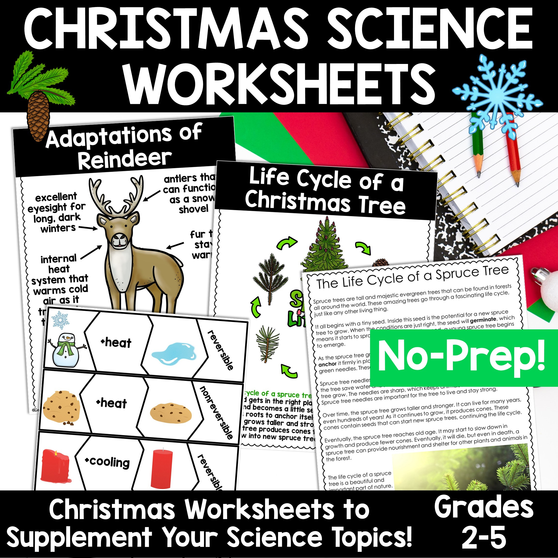 Christmas Science Worksheets No Prep Plants Animals Matter Winter with regard to Christmas Science Worksheets