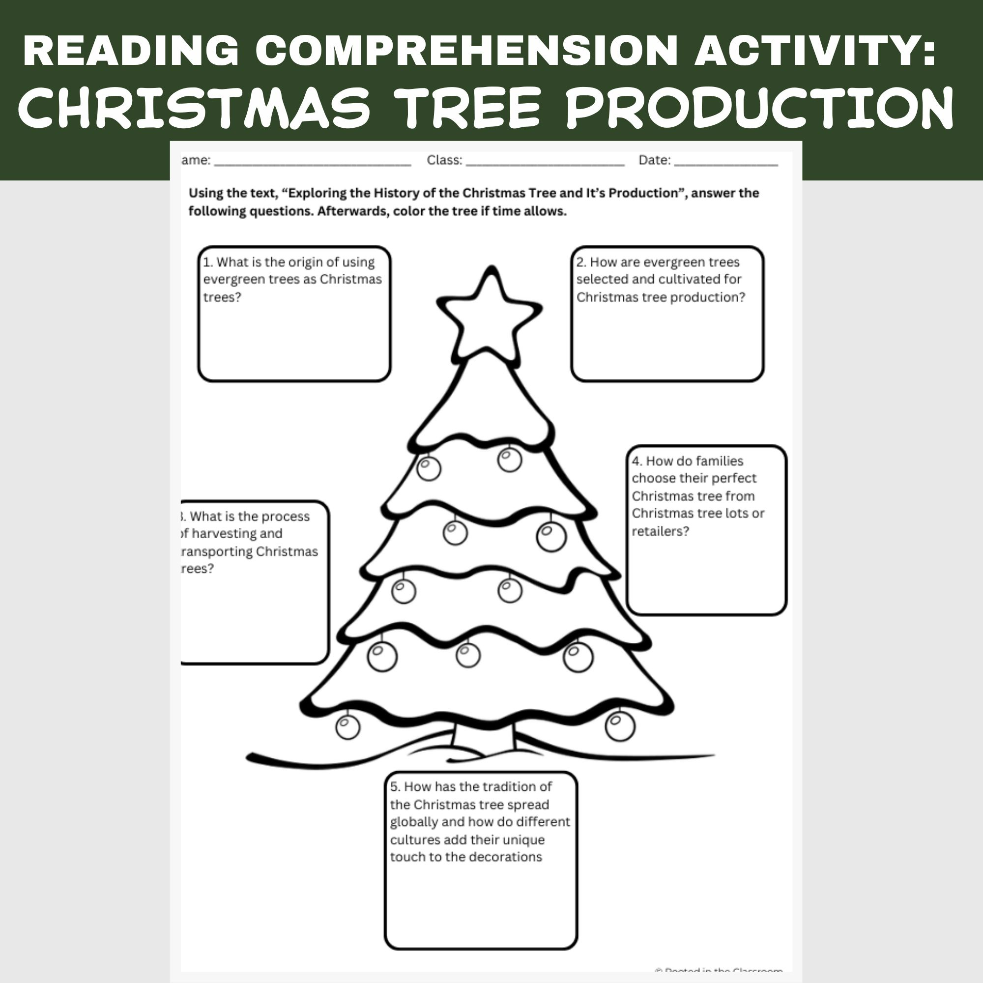 Christmas Tree Reading Comprehension Activity | Agriculture In The for History of the Christmas Tree Worksheets