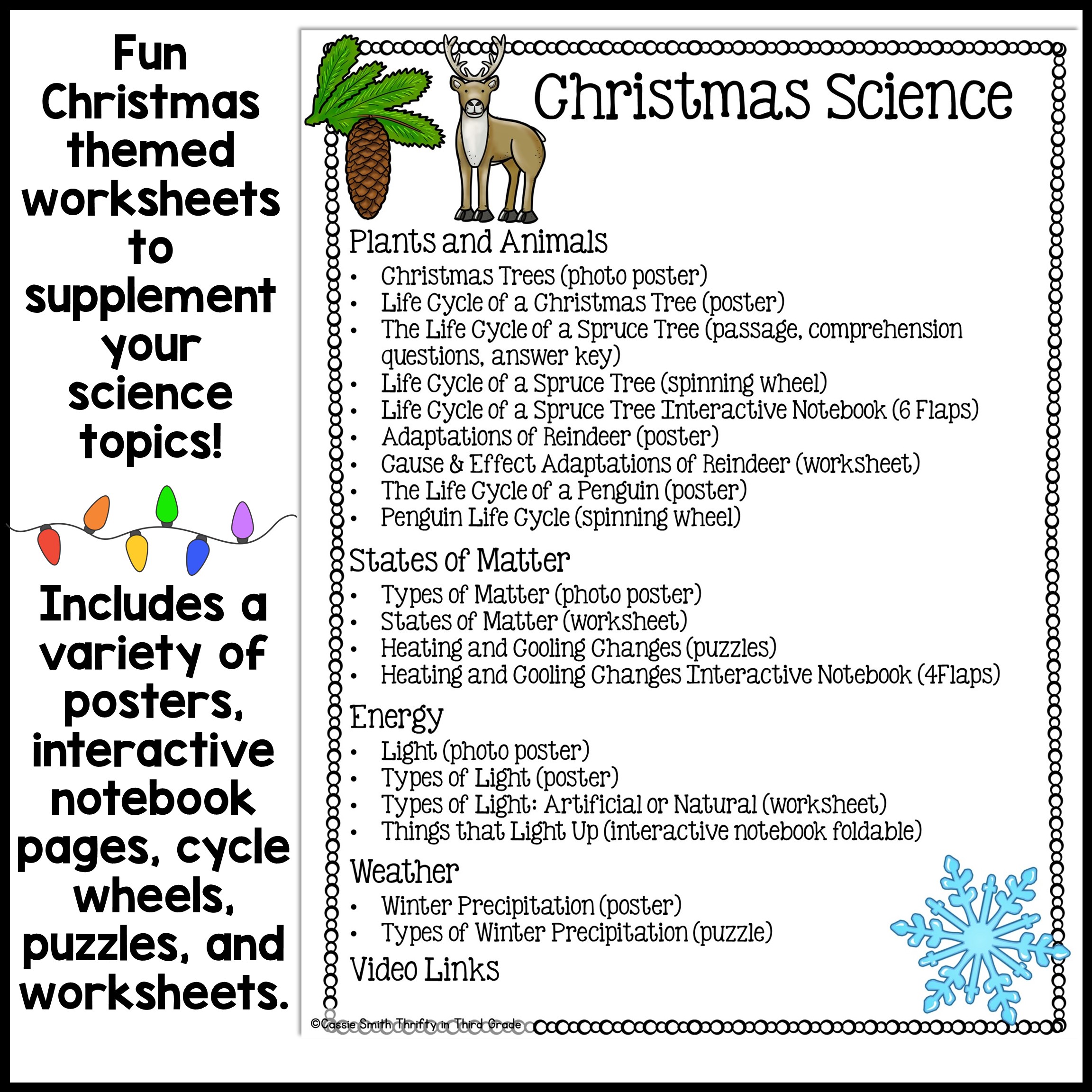 Christmas Science Worksheets No Prep Plants Animals Matter Winter Science