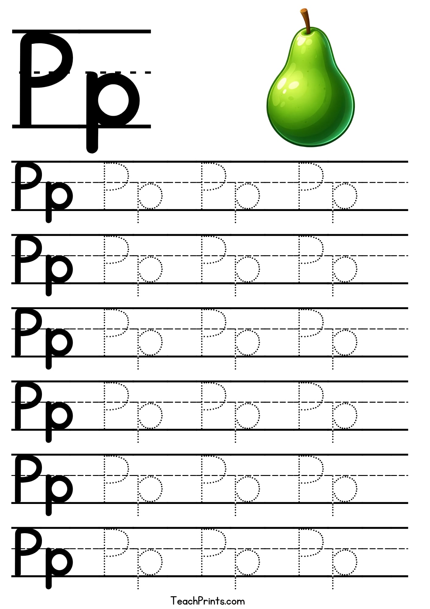 Letter P Tracing Sheets Letter P Tracing Sheets