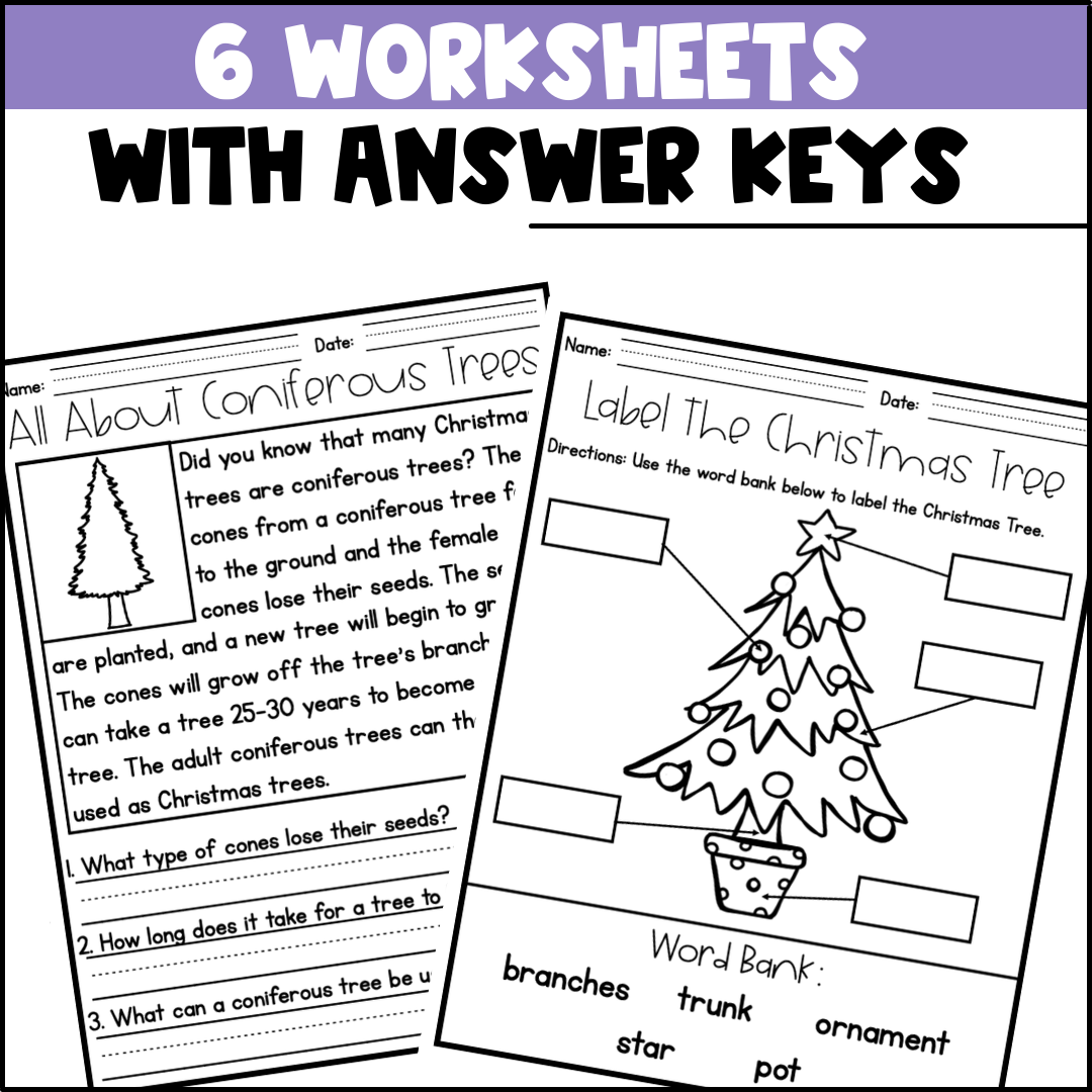 Life Cycle Of A Christmas Tree Activities Worksheets Booklet Coniferous Tree Life Cycle Of A Christmas Tree Activities Worksheets Booklet Coniferous Tree